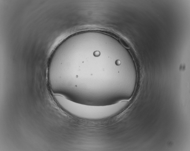 X0000111651365200908071357