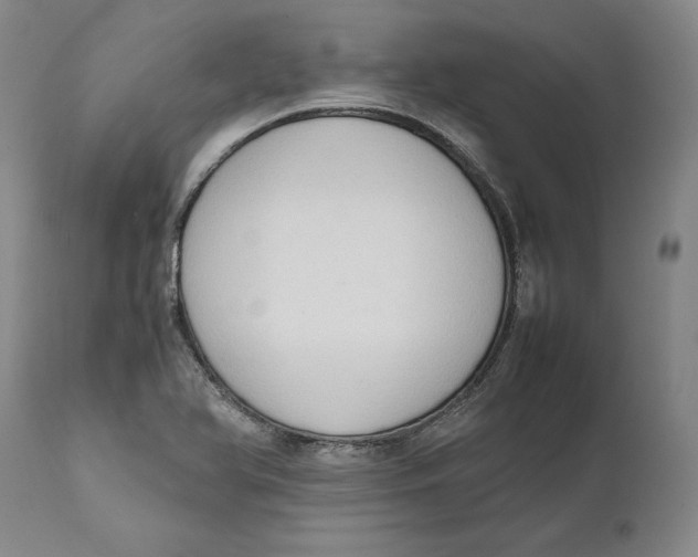 X0000111651366200908071357