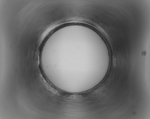 X0000111651368200908071357