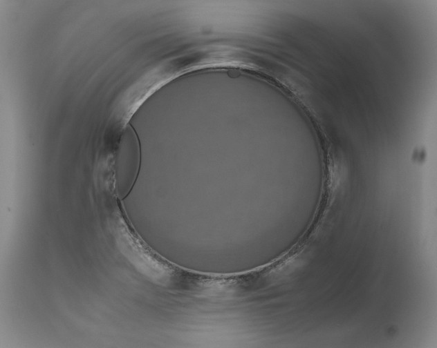 X0000111651369200908071357