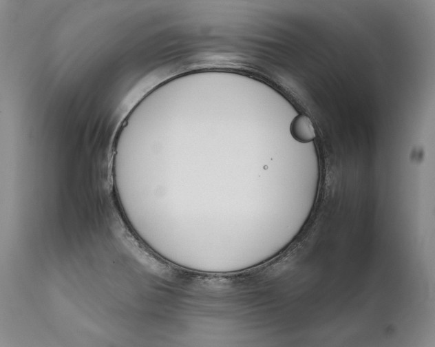 X0000111651370200908071357