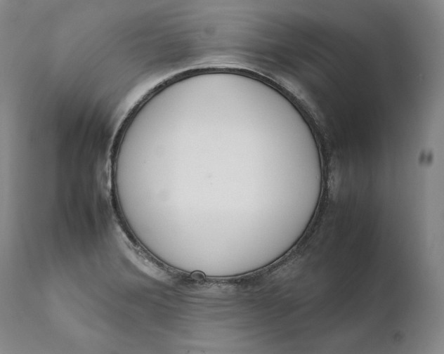X0000111651372200908071357