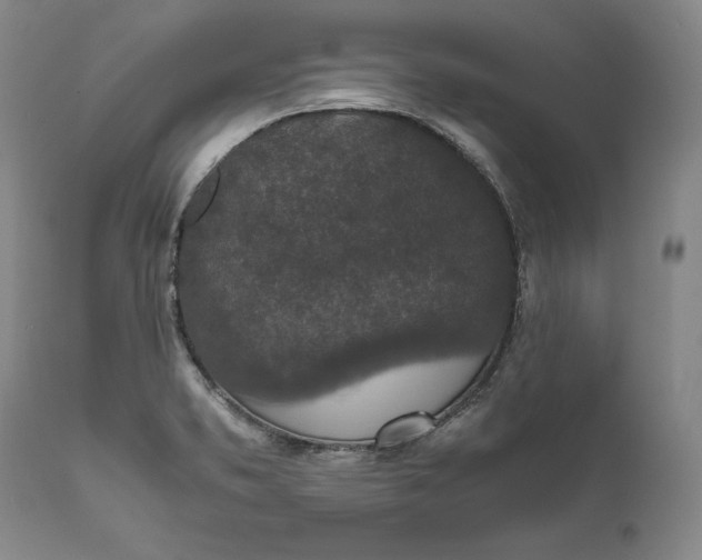 X0000111651373200908071357