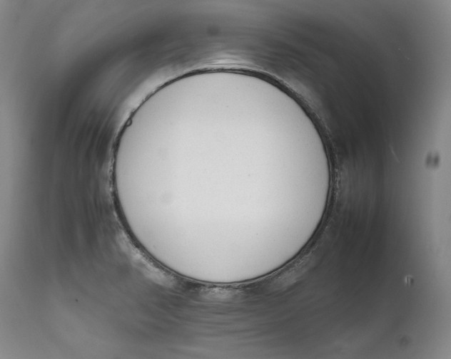 X0000111651374200908071357