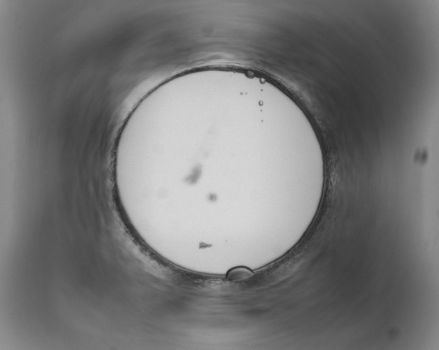 X0000111651375200908071357