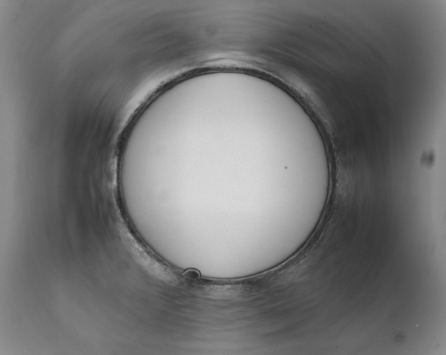 X0000111651376200908071357