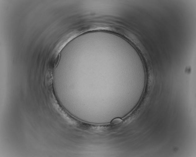 X0000111651377200908071357