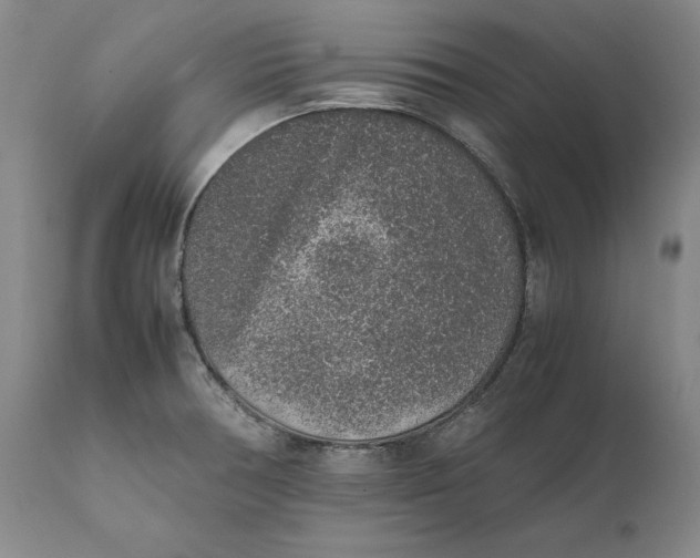 X0000111651378200908071357