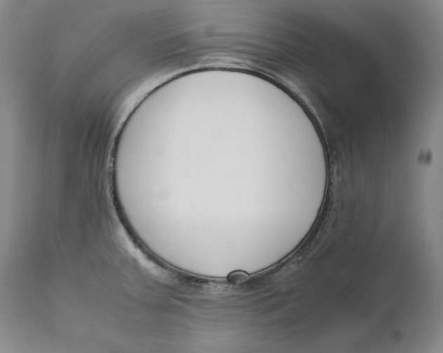 X0000111651379200908071357