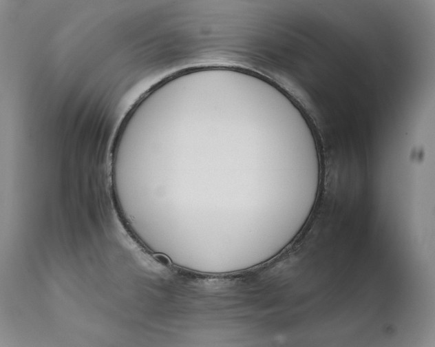 X0000111651380200908071357