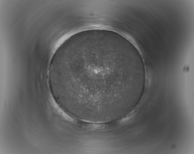 X0000111651381200908071357