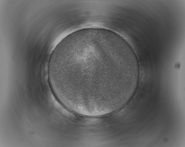 X0000111651382200908071357