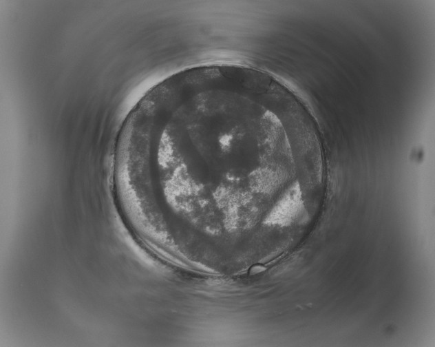 X0000111651383200908071357