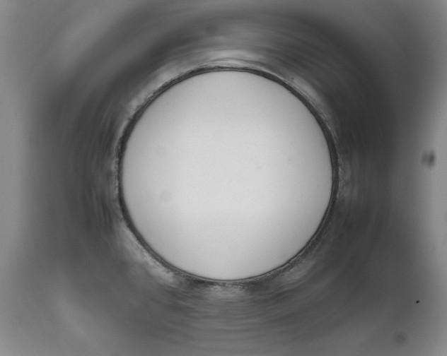 X0000111651384200908071357