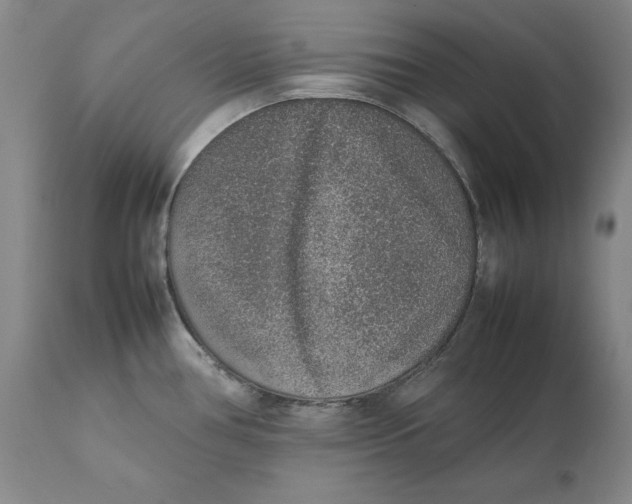 X0000111651386200908071356