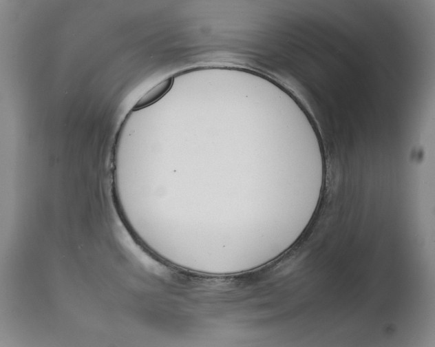 X0000111651387200908071356