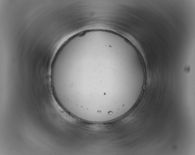 X0000111651388200908071356