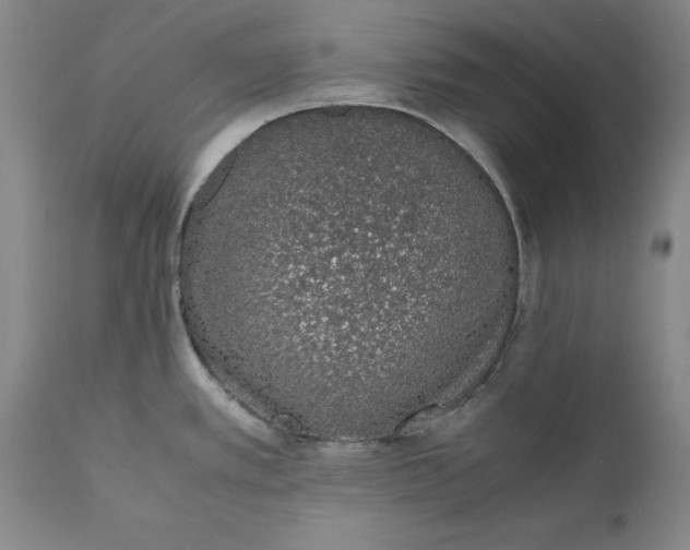 X0000111651389200908071356