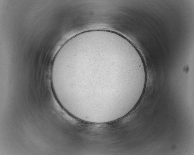 X0000111651390200908071356