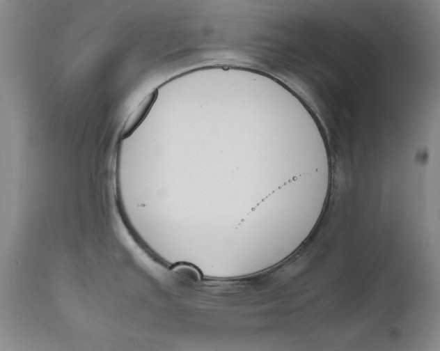 X0000111651391200908071356