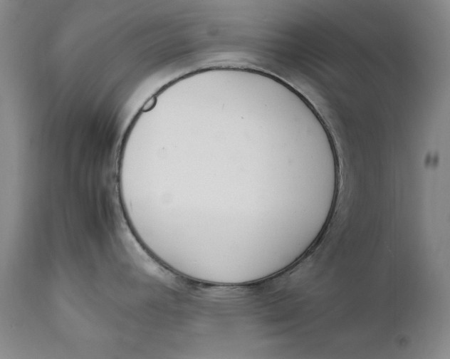 X0000111651392200908071356