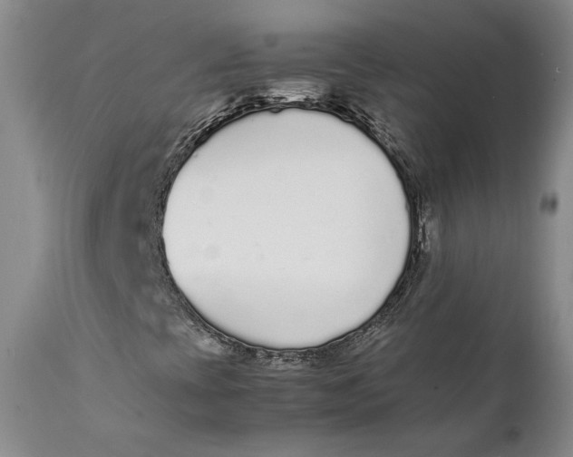 X0000111651393200908071356