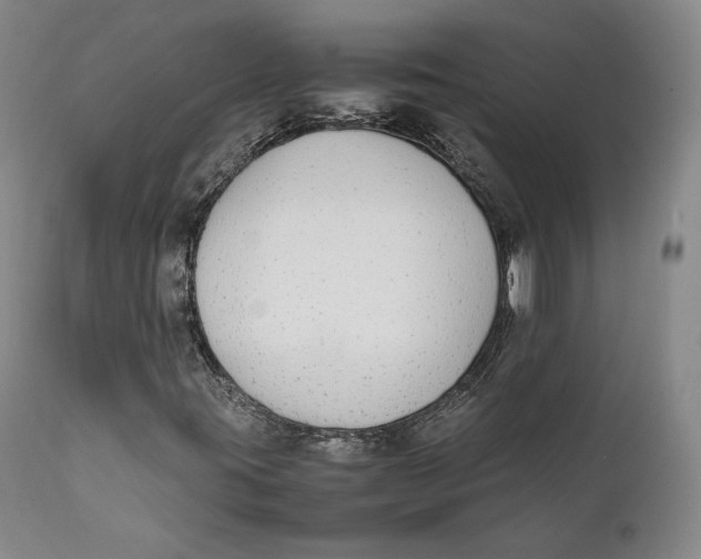 X0000111651395200908071356