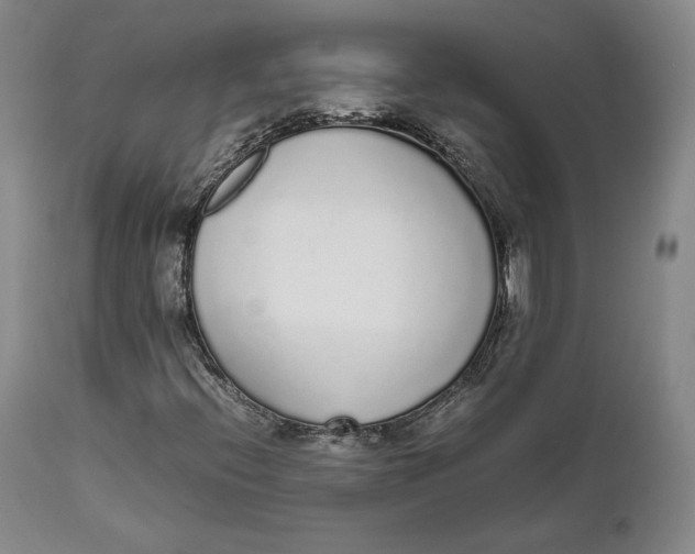 X0000111651396200908071356