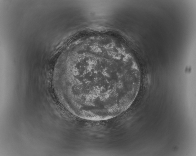 X0000111651397200908071356