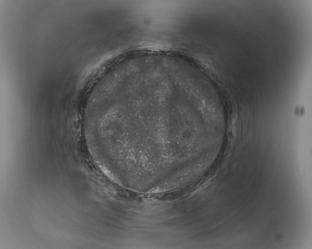 X0000111651398200908071356