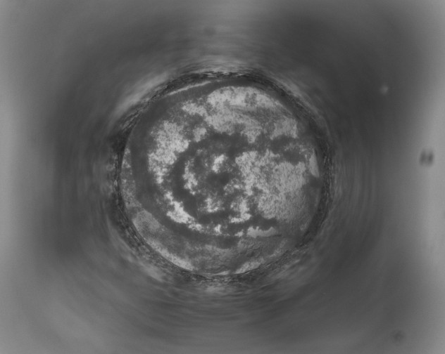 X0000111651399200908071356