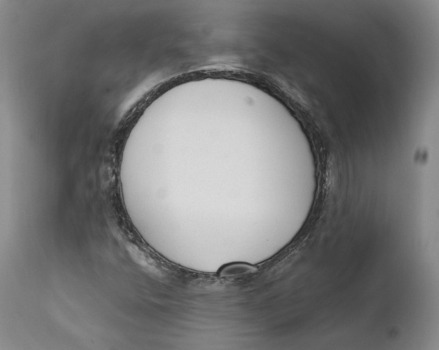 X0000111651400200908071356