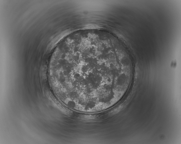 X0000111651401200908071356