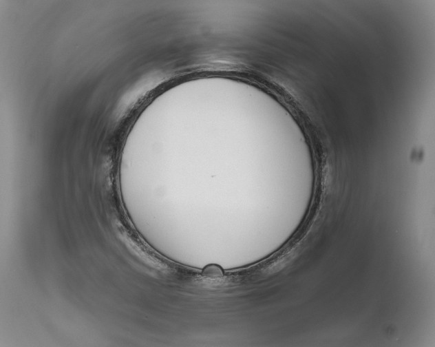 X0000111651402200908071356