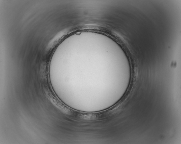 X0000111651403200908071356