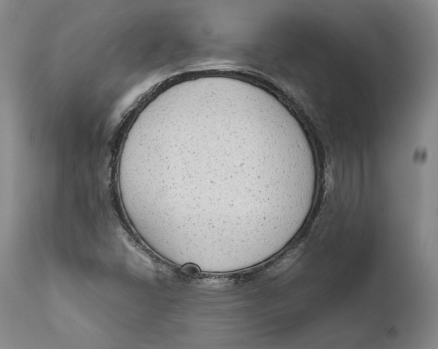 X0000111651406200908071356