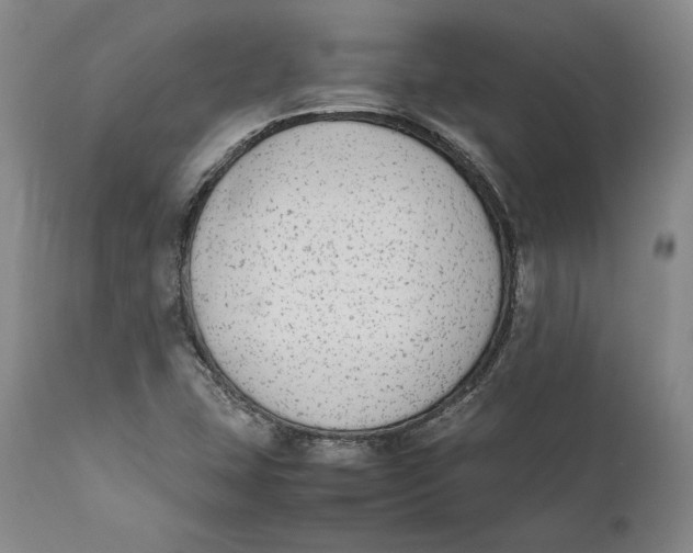 X0000111651407200908071356