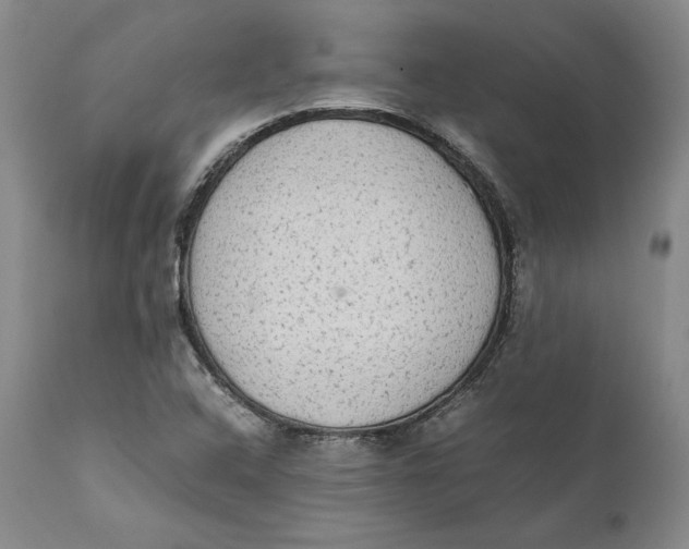 X0000111651408200908071356