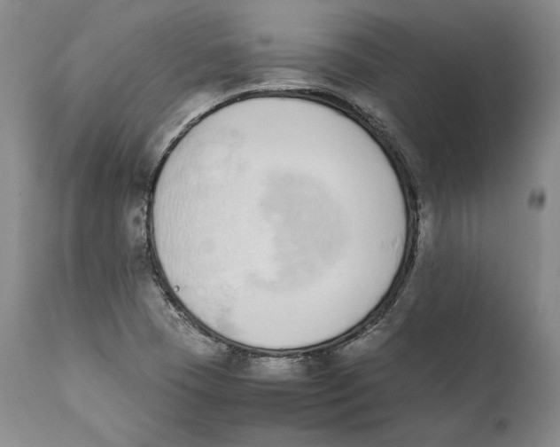 X0000111651409200908071356