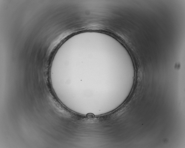 X0000111651410200908071356