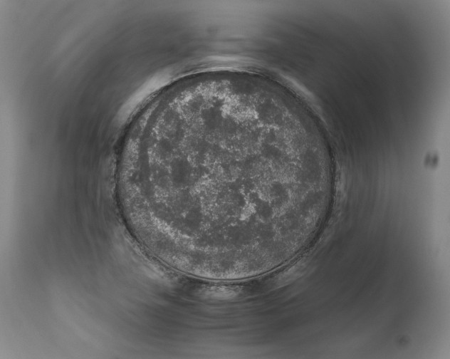 X0000111651411200908071356