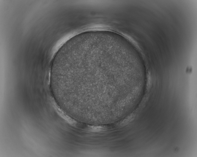 X0000111651413200908071356