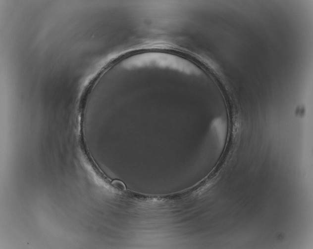 X0000111651414200908071356