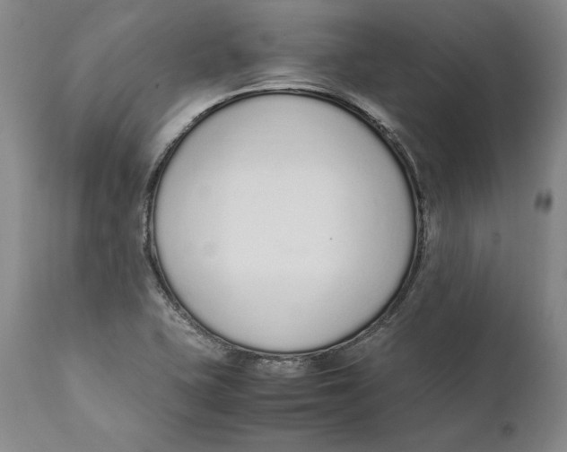 X0000111651415200908071356