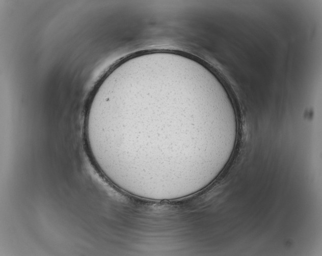 X0000111651416200908071356
