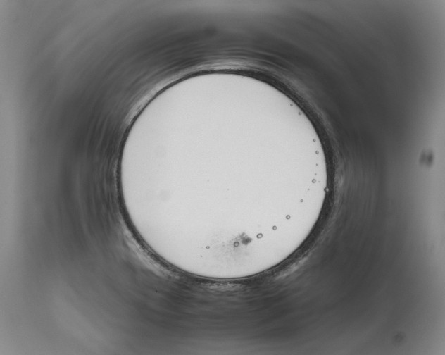 X0000111651417200908071356