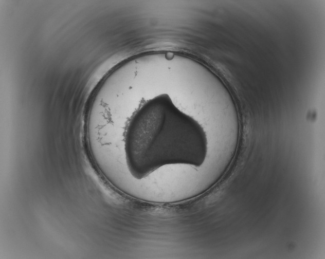 X0000111651418200908071356