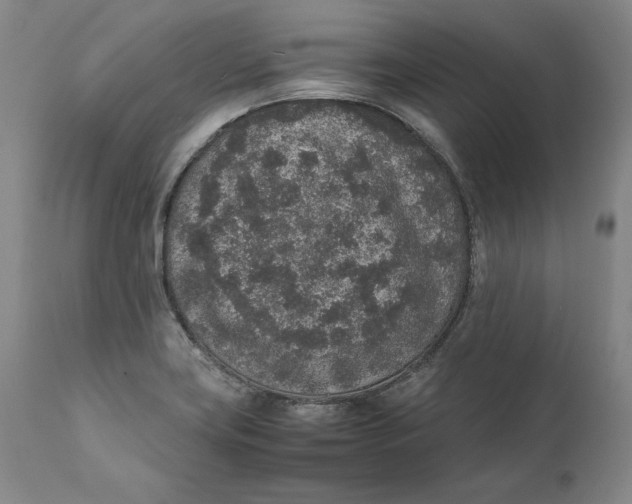 X0000111651419200908071356