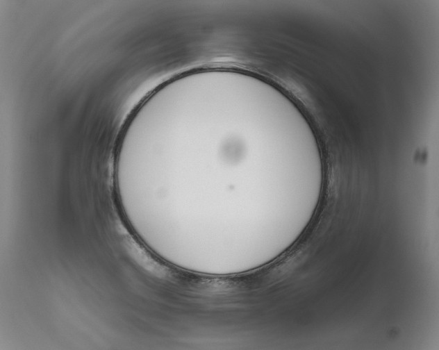 X0000111651420200908071356