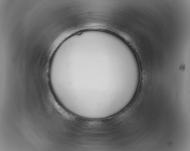 X0000111651421200908071356